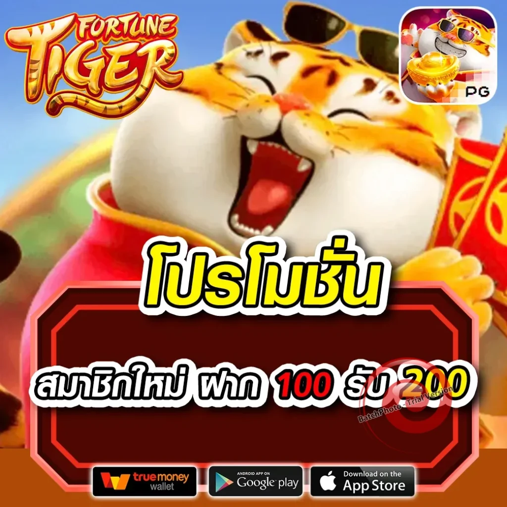 Pgswan 789 login